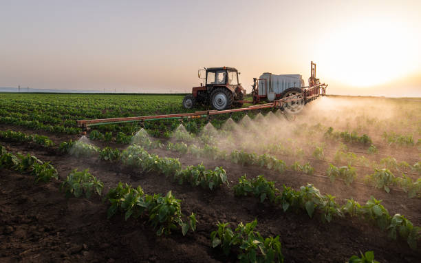 Pest Prevention Services in South Valley Stream, NY