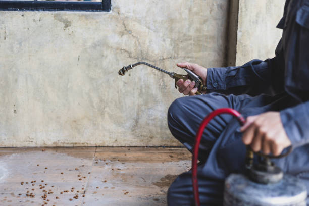 Best Exterminator Services  in South Valley Stream, NY